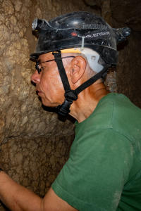 Zaginiony świat wiszących ogrodów